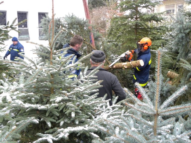 christbaumaufstellen 2017 18